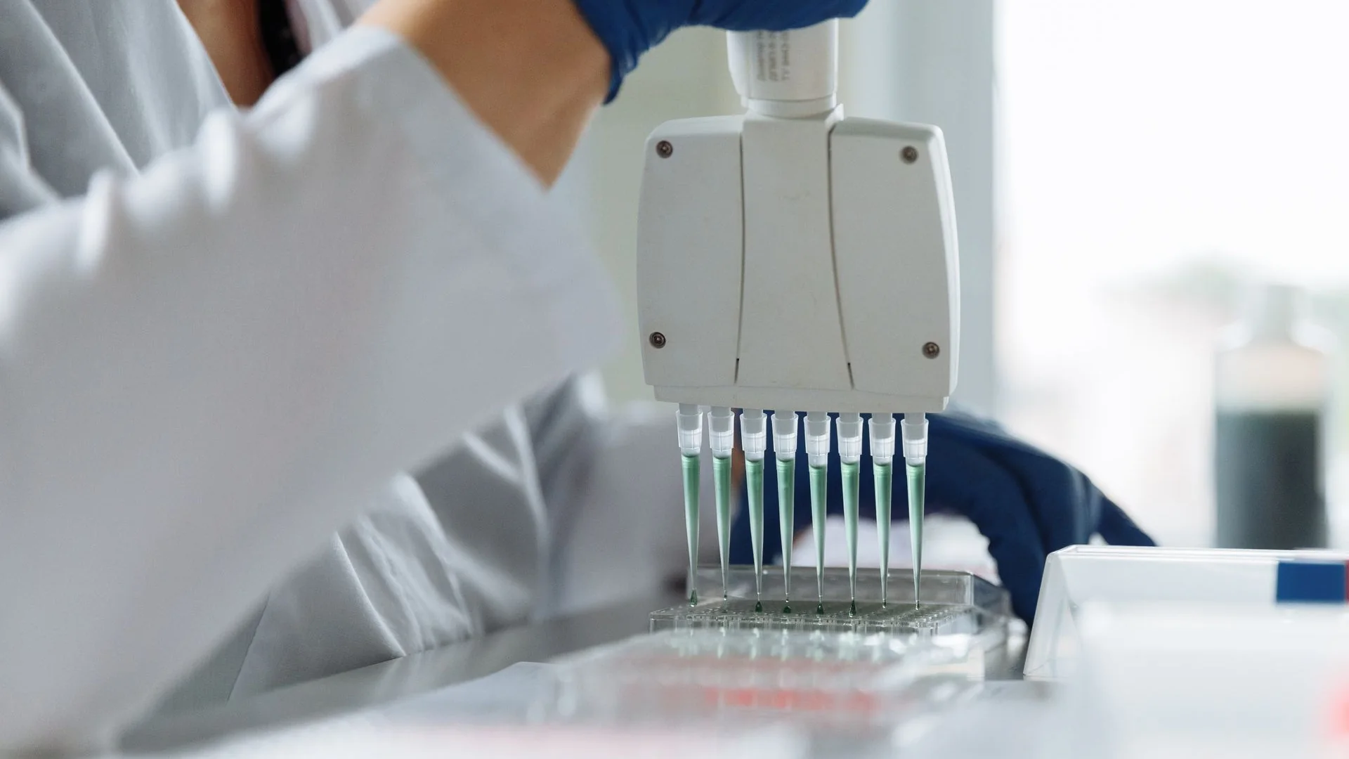 A scientist using a multichannel pipette in a laboratory.